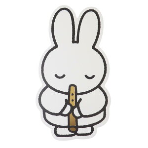 ~btB[ POSTCARD _CJbg|XgJ[h recorder fBbNu[i Green Flash RNVG G{LN^[ ObY [։ Vl}RNV