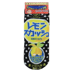 XJbV pC \bNX fB[X َqpbP[W WFCYvjO 킢 LN^[ ObY [։ Vl}RNV