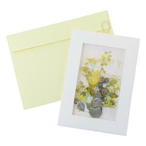 メッセージカード ハーバリウムカード バースデー ナチュラルイエロー APJ お祝い 誕生日 グリーティングカード グッズ メール便可 シネマコレクション