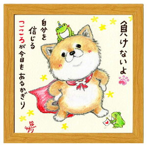 G`T[ t[tA[g Ȃ M邱 i`  Xy[XM[~ebh SA-228NA 20cmpz bZ[WA[g ObY i Vl}RNV