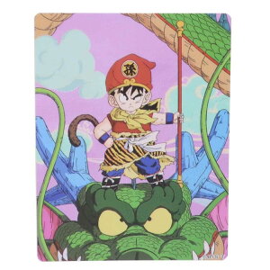 hS{[Z _CJbgV[ LN^[XebJ[ тƗ X[vlbg _CJbgrj[XebJ[ fRV[ ϐ AjLN^[ ObY [։ Vl}