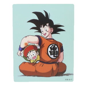 hS{[Z _CJbgV[ LN^[XebJ[ ƌ X[vlbg _CJbgrj[XebJ[ fRV[ ϐ AjLN^[ ObY [։ Vl