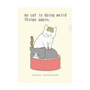 ̔L܂ςȂƂĂ A4NAt@C NAtH_[ LA Gv ސ A4t@C LN^[ ObY [։ Vl}RNV