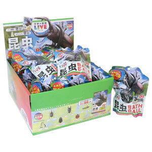 y|Cg10{ & N[|Izw̐}ӃCu  oX{[ 20Zbg mR[|[V qƂC ܂Ƃߔ G ObY Vl}RNV