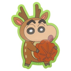 N񂿂 _CJbgV[ LXe LN^[XebJ[ HIROSHIMA X[vlbg _CJbgrj[XebJ[ fRV[ ϐ AjLN^[ ObY [