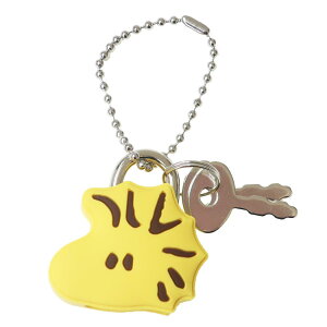 Xk[s[ L[`F[ }XRbg싞L[z_[ EbhXgbN s[ibc eB[Yt@Ng[ 킢 LN^[ ObY [։ Vl}RNV