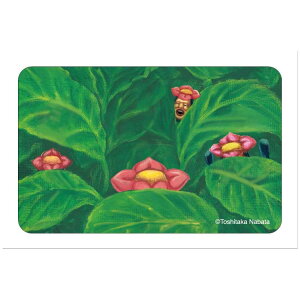 тƂÂ V[ ܂SݓXXebJ[ gniKV 5 J`A G^eCg G ω LN^[ ObY [։ Vl}RNV