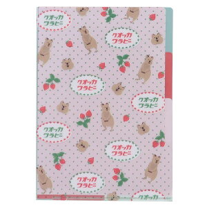 Aj}SݓX |Pbgt@C A5|PbgNAt@C 3CfbNX NIbJr[ ǂԂ Green Flash ~jt@C 킢 ObY [։ Vl}RNV