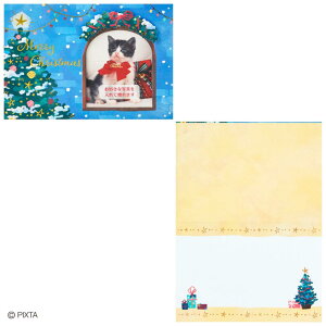 CHRISTMAS O[eBOJ[h NX}XJ[h JX8-4 tHgt[  TI v[g bZ[WJ[h ObY [։ Vl}RNV