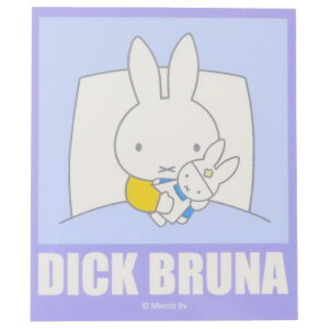 ~btB[ _CJbgV[ LN^[XebJ[ xbh fBbNu[i X[vlbg fRV[ ϐ G{LN^[ ObY [։ Vl}RNV