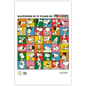 スヌーピー POSTCARD ポストカード SNUVAG 75thブロック ピーナッツ 日本ホールマーク 絵葉書 キャラクター グッズ メール便可 シネマコレクション
