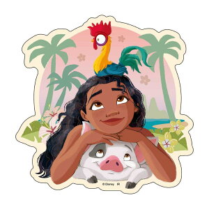 fBYj[vZX LN^[XebJ[ zOXebJ[A fBYj[ CbN fRV[ LN^[ ObY [։ Vl}RNV