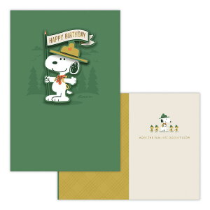スヌーピー グリーティングカード 誕生お祝い 輸入カード 輸SNSG バースデーフラッグ ピーナッツ 日本ホールマーク バースデーカード キャラクター メッセージカード グッズ メール便可 シ