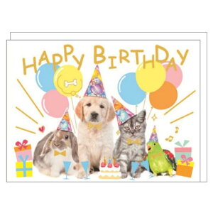 グリーティングカード 誕生日メロディカード oc-16501 クローズピン メッセージカード 誕生日祝い グッズ メール便可 シネマコレクション