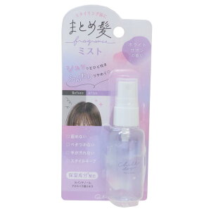 wAPA ܂ƂߔtOX~Xg p[v N[A wA~Xg wAZbg wAAW ObY Vl}RNV