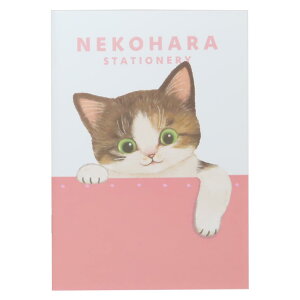 ˂n m[g B6m[g sN Vw ˂ ObY wXeCt Vw 킢 ObY [։ Vl}RNV