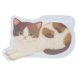 ˂n  ubN}[J[ u[ ˂ ObY wXeCt Ǐ 킢 ObY [։ Vl}RNV