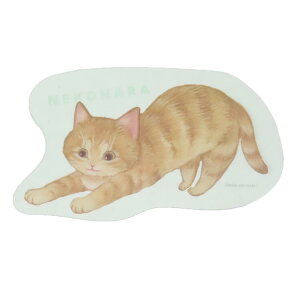 ˂n  ubN}[J[ O[ ˂ ObY wXeCt Ǐ 킢 ObY [։ Vl}RNV