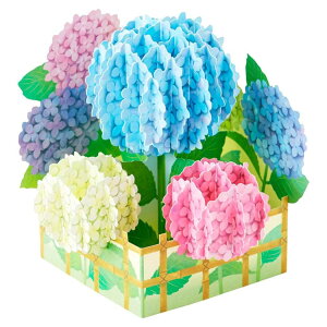 O[eBOJ[h VJ JES 13-5 ̃J[h  _ɃAWTC TI ړI bZ[WJ[h t ObY [։ Vl}RNV