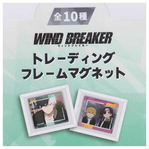 WIND BREAKER  g[fBOt[}Olbg S10 }Ntg RNVG AjLN^[ ObY [։ Vl}RNV