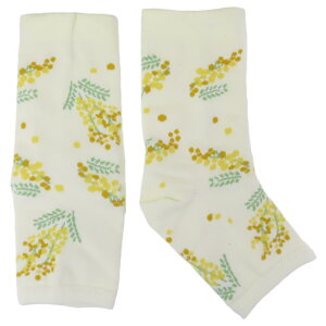 y12͖|Cg10{IztE~U pC VN₷݃\bNX AC{[ tYq v[g FRIENDSHILL ObY Vl}RNV