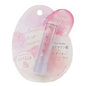 RXG eBAbvN[ n[g N[A v[g Mtg OPA NA^Cv ObY [։ Vl}RNV