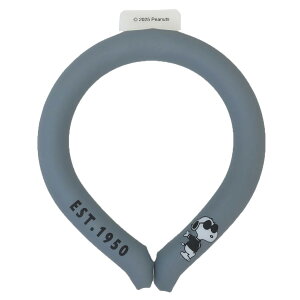 Xk[s[ ėpN[lbN ACX[v ICE LOOP MTCY so cool s[ibc J~IWp MǑ΍ p lbNN[[ LN^[ ObY [։ Vl}RNV