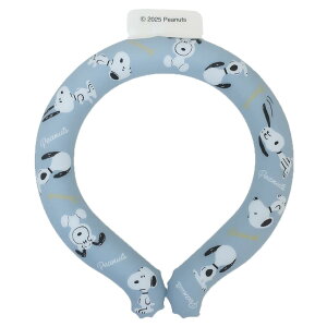 Xk[s[ ėpN[lbN ACX[v ICE LOOP STCY gI s[ibc J~IWp MǑ΍ p lbNN[[ qǂ LN^[ ObY [։ Vl}RNV