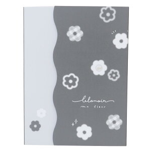 y|Cg10{ & N[|Izum[ blanoir  _CJbgJo[t 炵 J~IWp Vw 킢 ObY [։ Vl}RNV