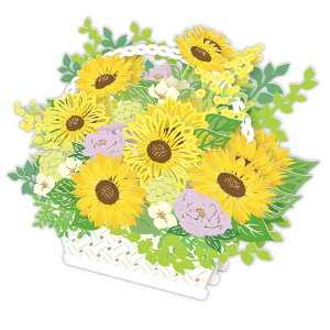 y|Cg10{ & N[|IzO[eBOJ[h ̃J[h LGЂ܂Ԃ2 {z[}[N T}[O[eBOJ[h   ObY [։ Vl}RNV