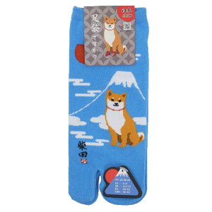 ēc pC ܃\bNX S ɂق̂΂ tYq 23-26cm Č lpC LN^[ ObY [։ Vl}RNV