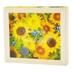 O[eBOJ[h V`EJSP 38-5 T}[ q}t[{bNX TI  bZ[WJ[h ObY [։ Vl}RNV