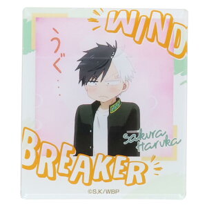 WIND BREAKER EBhuCJ[  CX^gtHg}Olbg vol.2 B ACAbv zCg{[h ① AjLN^[ ObY [։ Vl}RNV