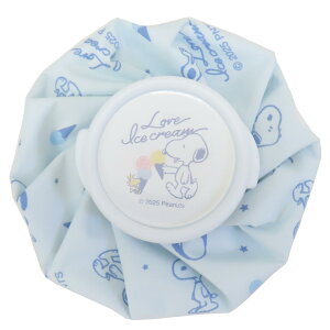 y|Cg10{ & N[|IzXk[s[ ACXobO X̂ LOVE ICE CREAM s[ibc J~IWp MǑ΍ LN^[ ObY Vl}RNV