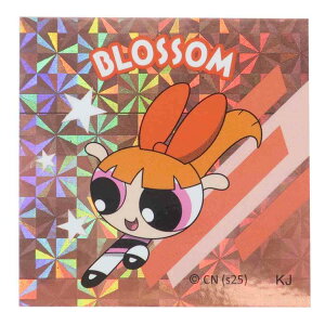p[ptK[Y XebJ[ RLXebJ[ BLOSSOM2 J~IWp fRV[ LN^[ ObY [։ Vl}RNV