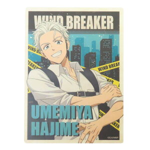 WIND BREAKER EBhuCJ[ rbOV[ gxXebJ[ ~{ GXJC RNVG AjLN^[ ObY [։ Vl}RNV