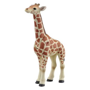 AjA Aj}Ahx`[ tBMA L A~Lqǂ AS-12 Aj} ^Jg~[  qǂ LN^[ ObY Vl}RNV