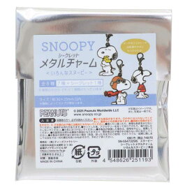【最大1000円OFFクーポン！】スヌーピー キーホルダー シークレットメタルチャーム 全8種の内どれか1個 いろんなスヌーピー ピーナッツ ティーズファクトリー コレクション雑貨 キャラクター グッズ メール便可 シネマコレクション