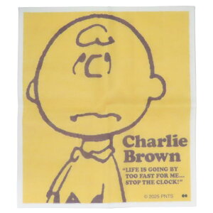 Xk[s[ ӂ ␶nӂ CHARLIE BROWN YE s[ibc 吼 Lb`pi z LN^[ ObY [։ Vl}RNV