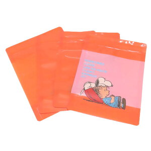 Xk[s[ rj[ Xg[WobO IW SNLI OR s[ibc 吼 MtgobO LN^[ ObY [։ Vl}RNV