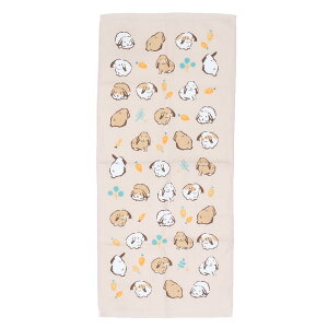 y12͖|Cg10{IztFCX^I ЖʃK[[vgO^I bvC[PK Aj} ~gC V 킢 ObY [։ Vl}RNV