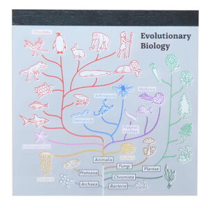 STUDY HOLIC  pbh XNGA iw Green Flash Vw pi w w ObY [։ Vl}RNV