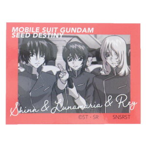 @mK_SEED DESTINY _CJbgV[ LN^[XebJ[ LOʐ^ X[vlbg _CJbgrj[XebJ[ fRV[ ϐ AjLN^[ ObY [