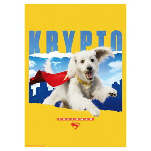 �y�|�C���g10�{ & �N�[�|���I�zA4�N���A�A�[�g�{�[�h �C���e���A�p�l�� SUPERMAN �X�[�p�[�}�� C DC�R�~�b�N �C�����b�N �R���N�V�����G�� �f�惁�[���։�