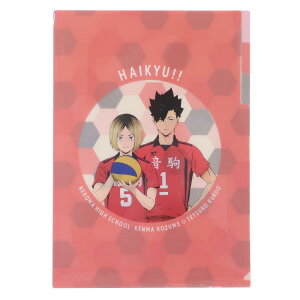 nCL[II ObY |Pbgt@C A4|PbgNAt@C  ǒ NWv Green Flash Vw AjLN^[ [։ Vl}RNV