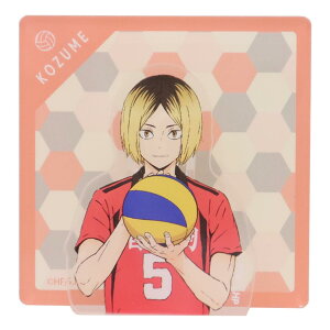 �y�|�C���g10�{ & �N�[�|���I�z�n�C�L���[�I�I �O�b�Y �N���b�v �A�N�����N���b�v�X�^���h �p�^�[���A�[�g �ǒ܌��� ���N�W�����v Green Flash �����p�i �A�j���L�����N�^�[ ���[���։� �V�l�}