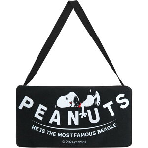 Xk[s[ eBbVJo[ eBbVP[X ubN s[ibc O MEIHO J[pi LN^[ ObY [։ Vl}RNV