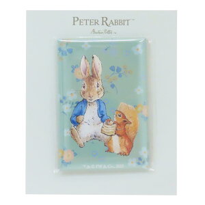 s[^[rbg  }Olbg s[^[ƃigL Green Flash RNVG G{LN^[ ObY [։ Vl}RNV