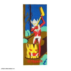 y12͖|Cg10{IzEg} Ăʂ ʂ ݂ Bq[[ o_C { @ LN^[ ObY [։ Vl}RNV