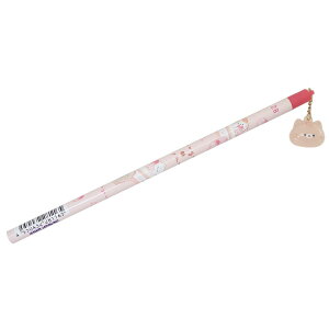 ɂ ҂ }XRbgM2B P[L J~IWp Vw 킢 ObY [։ Vl}RNV